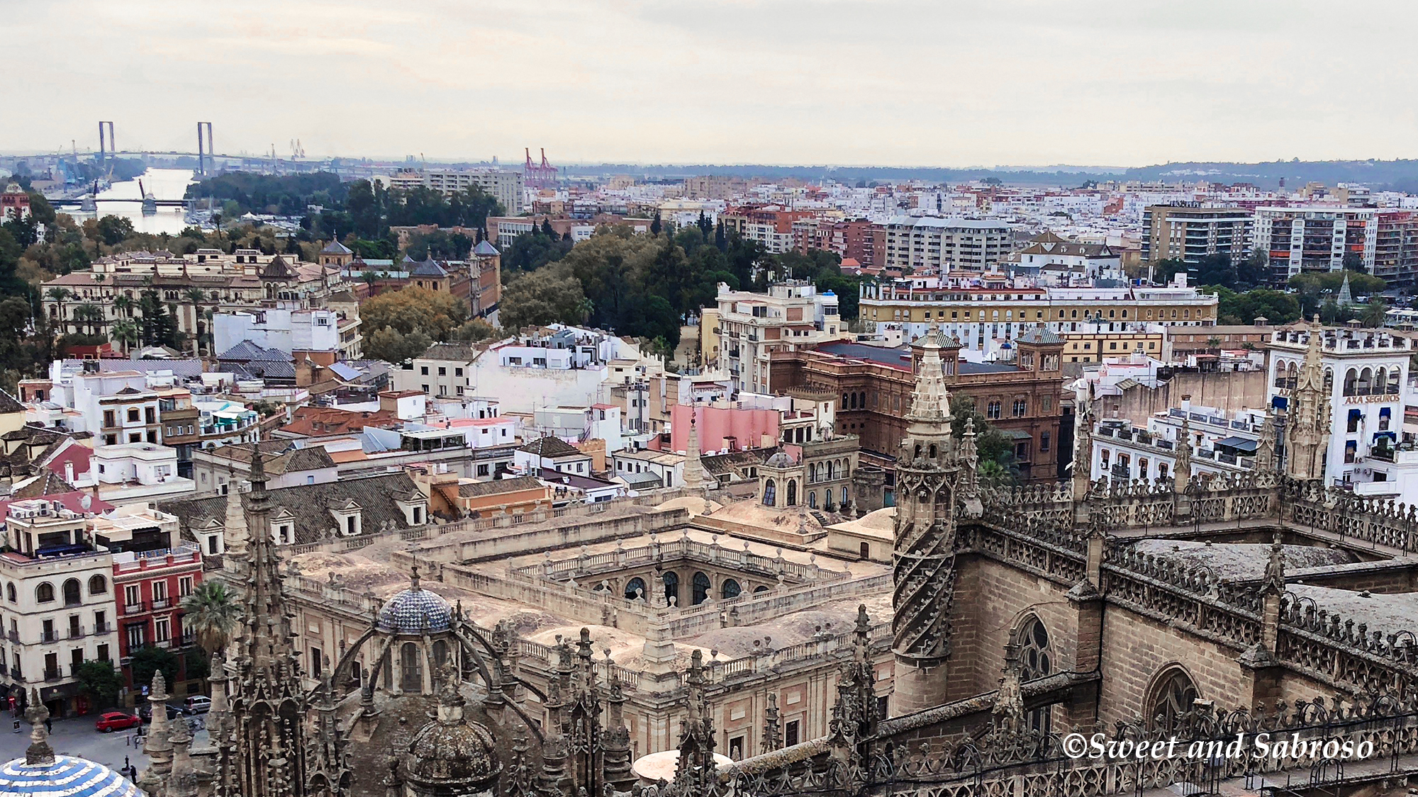 View of the city of Seville from the top of the Giralda bell tower